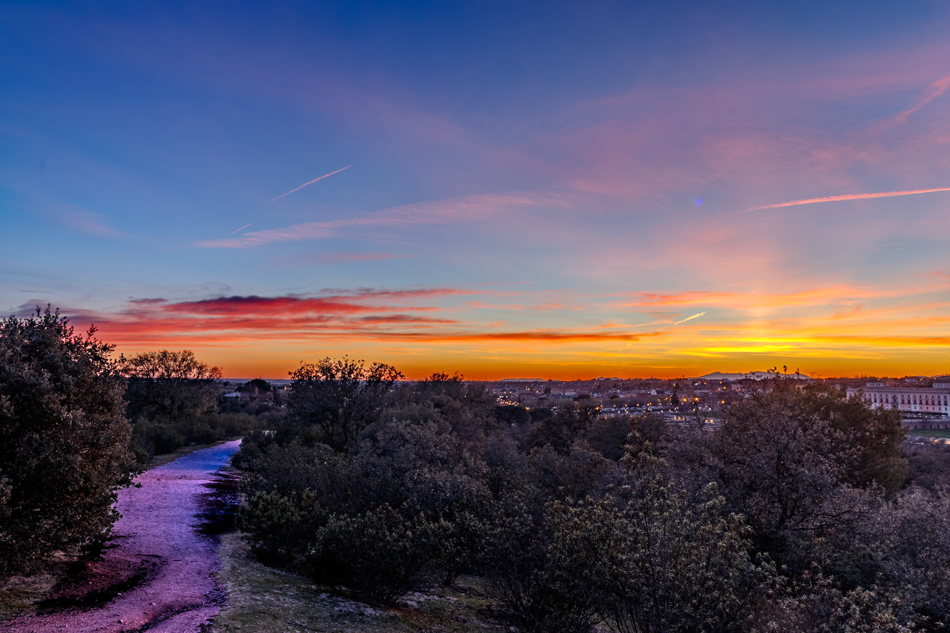 Monte de Boadilla