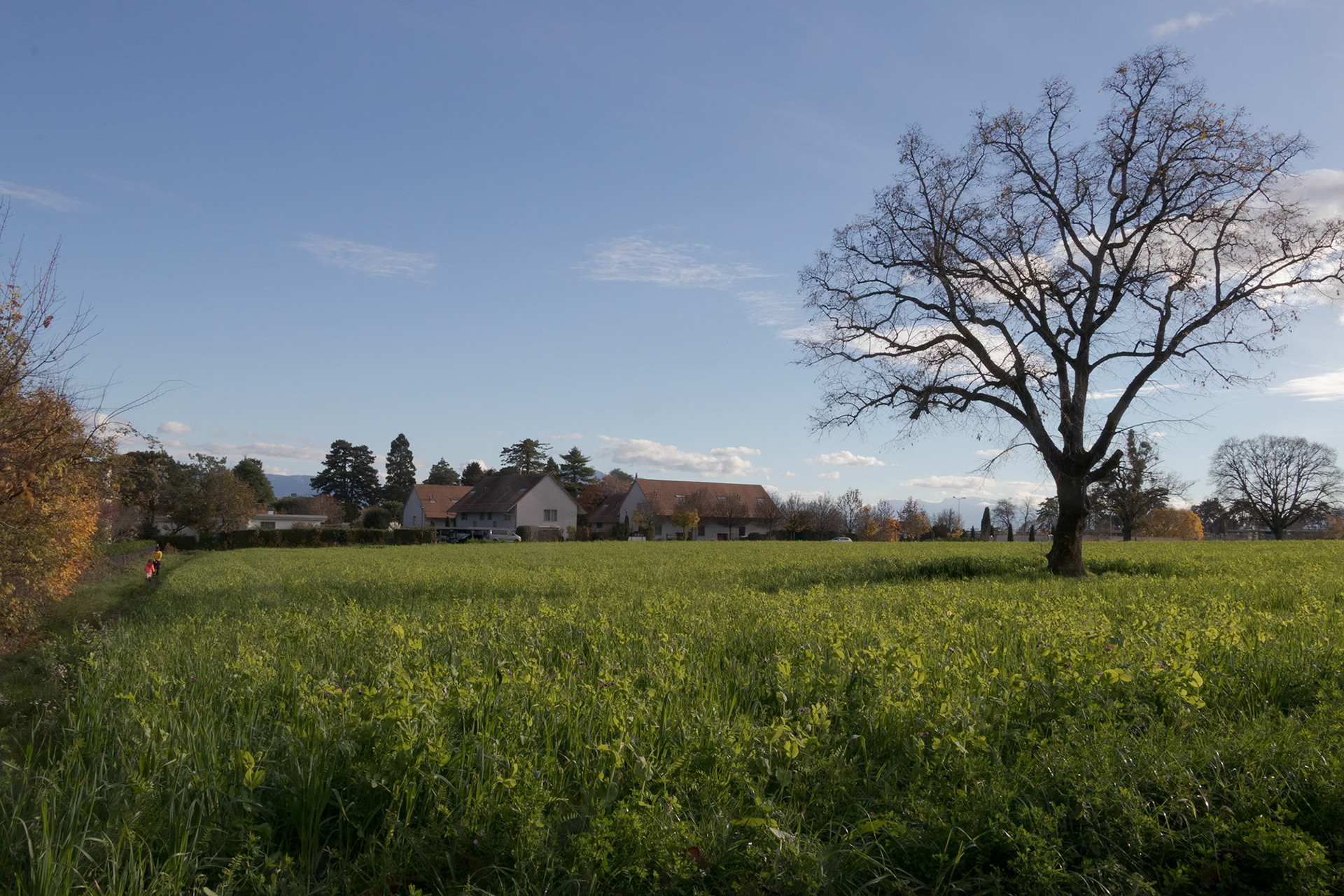 Haute Combe, Nyon