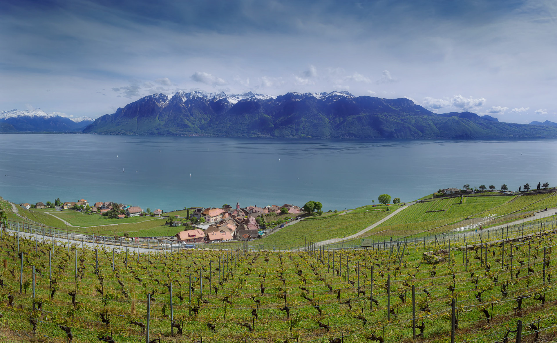 Vignobles de Lavaux