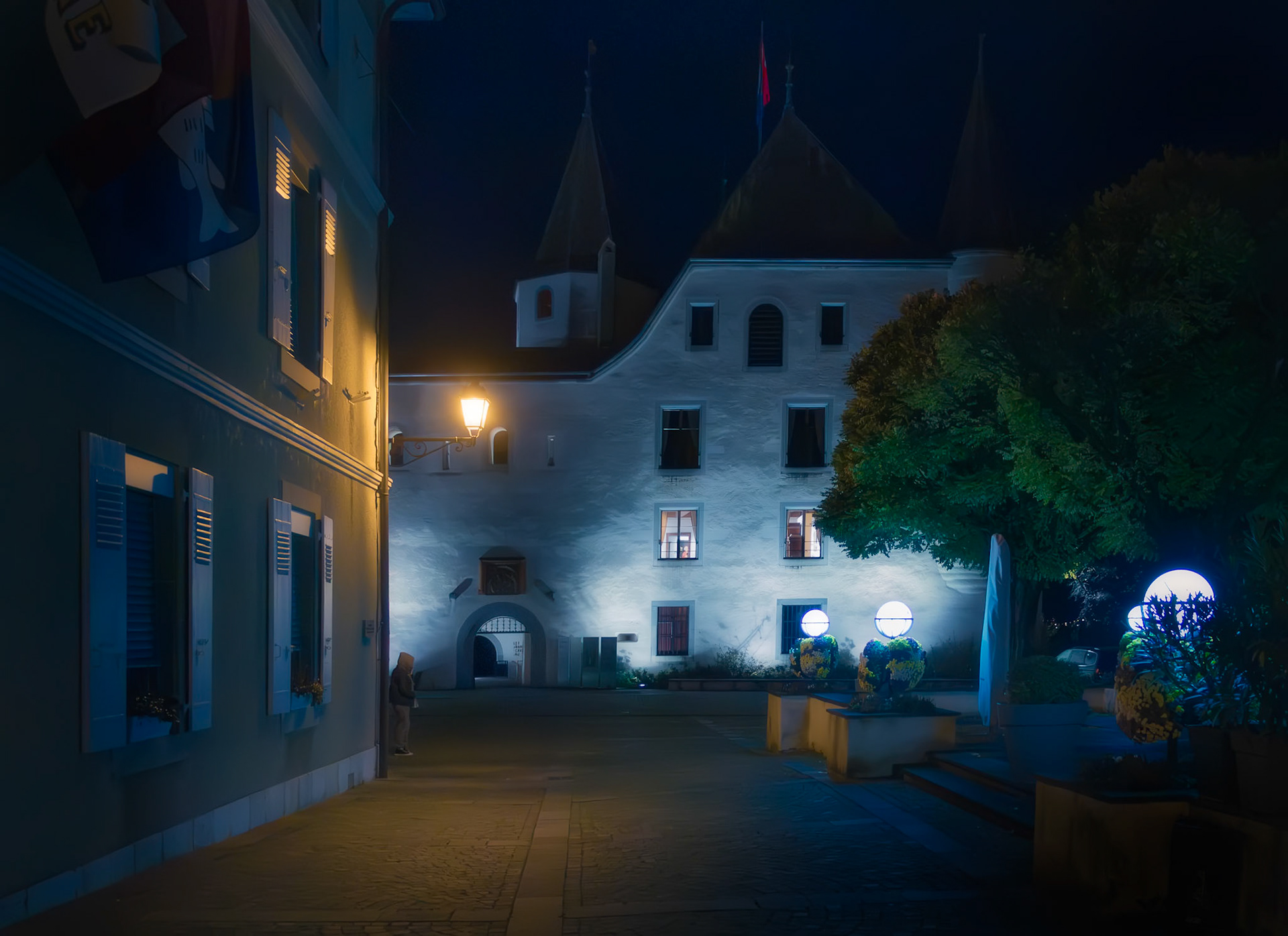 Château de Nyon