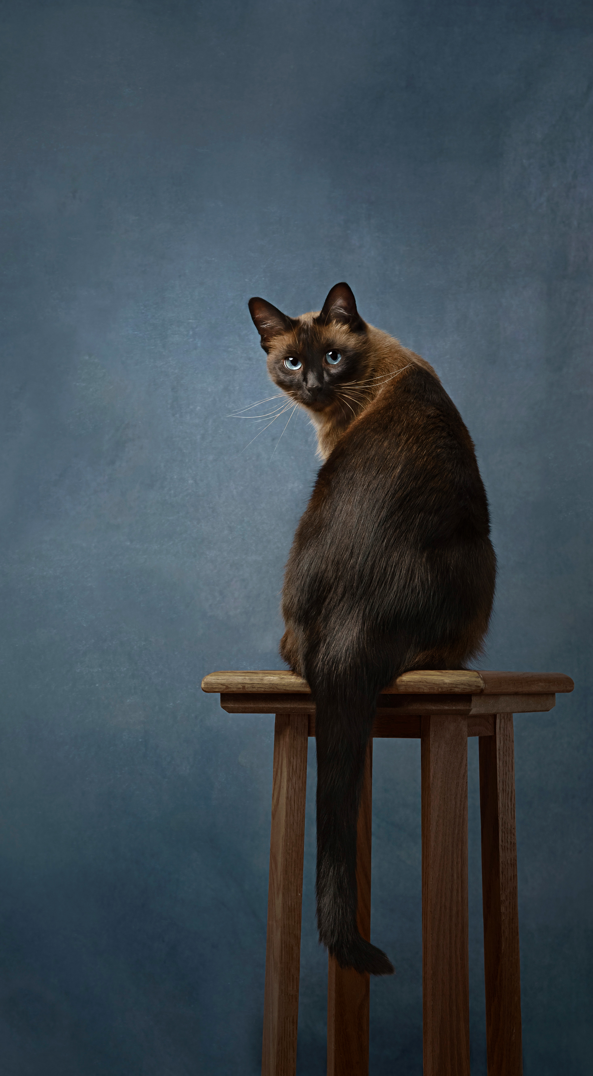 "What do you mean my butt looks fat?" - Merit Award - IPA 2022