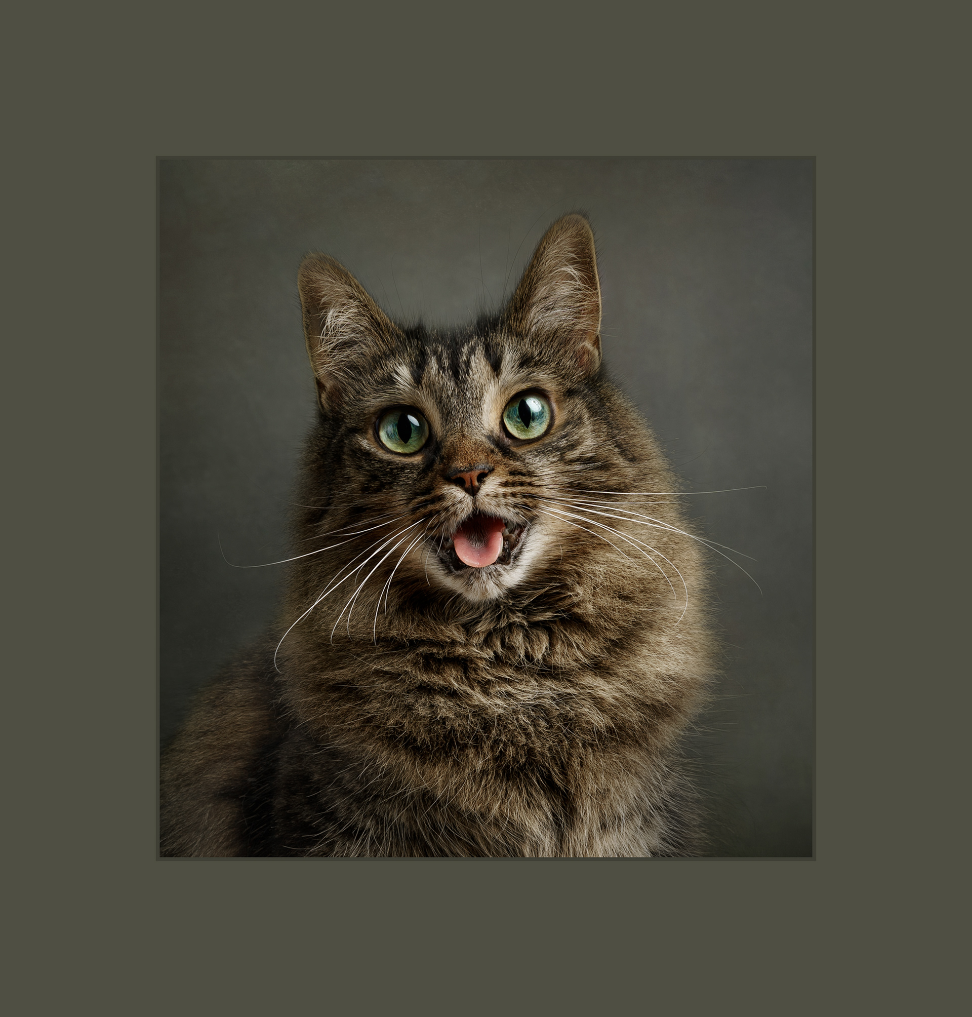 "Say Ahhh!" - Merit Award - IPA, 2022