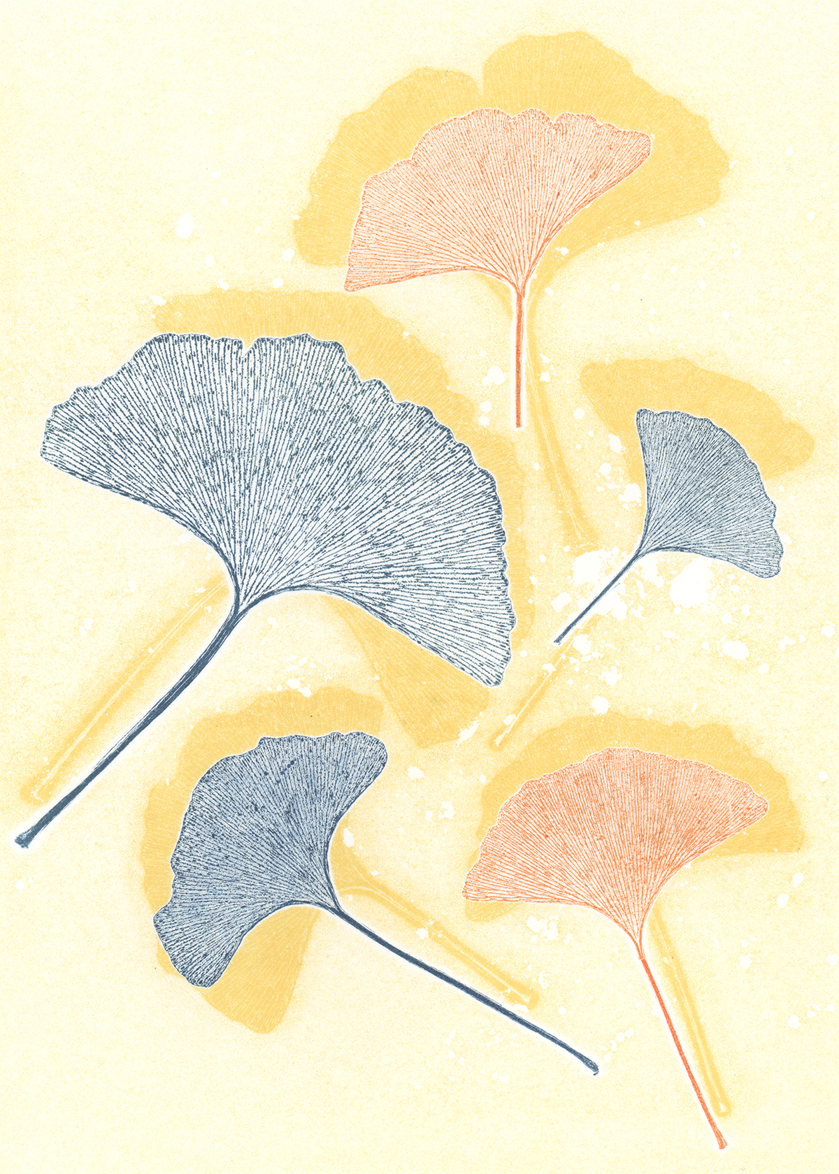 Ginkgo 1