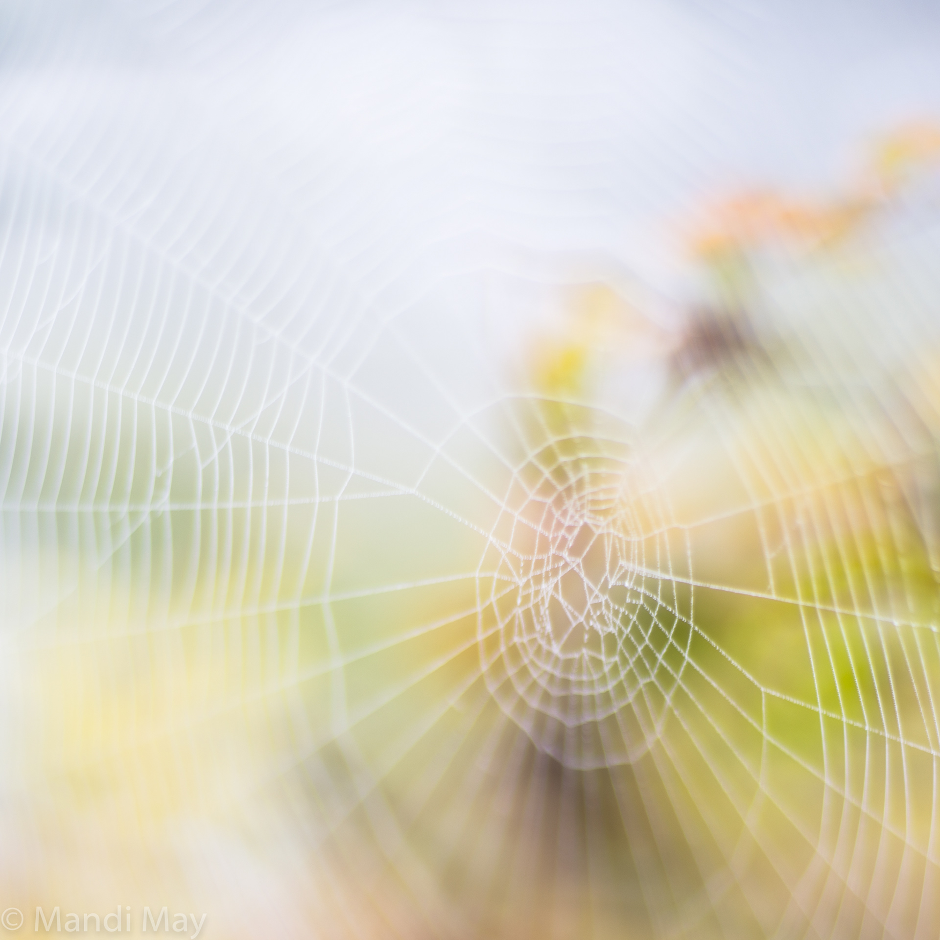 Abstract Web 1
