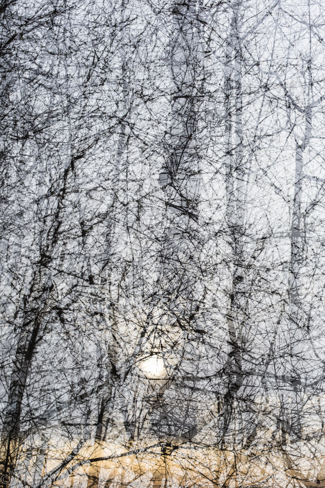 Distant Sun