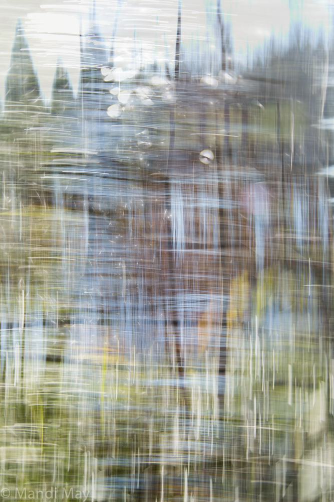 Glimpses of Nature