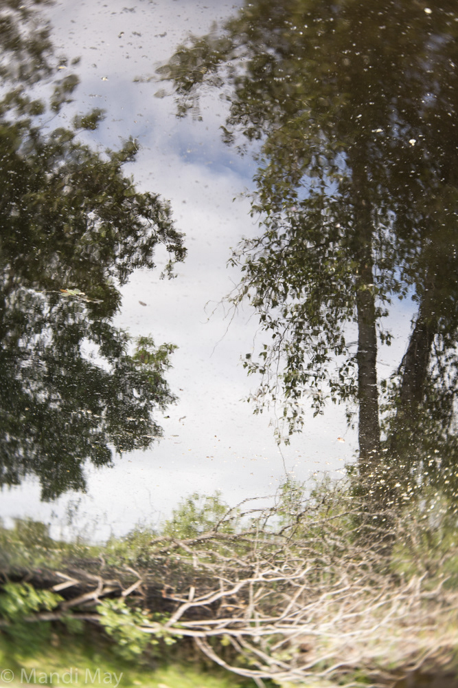 Speckled Thoughts of You