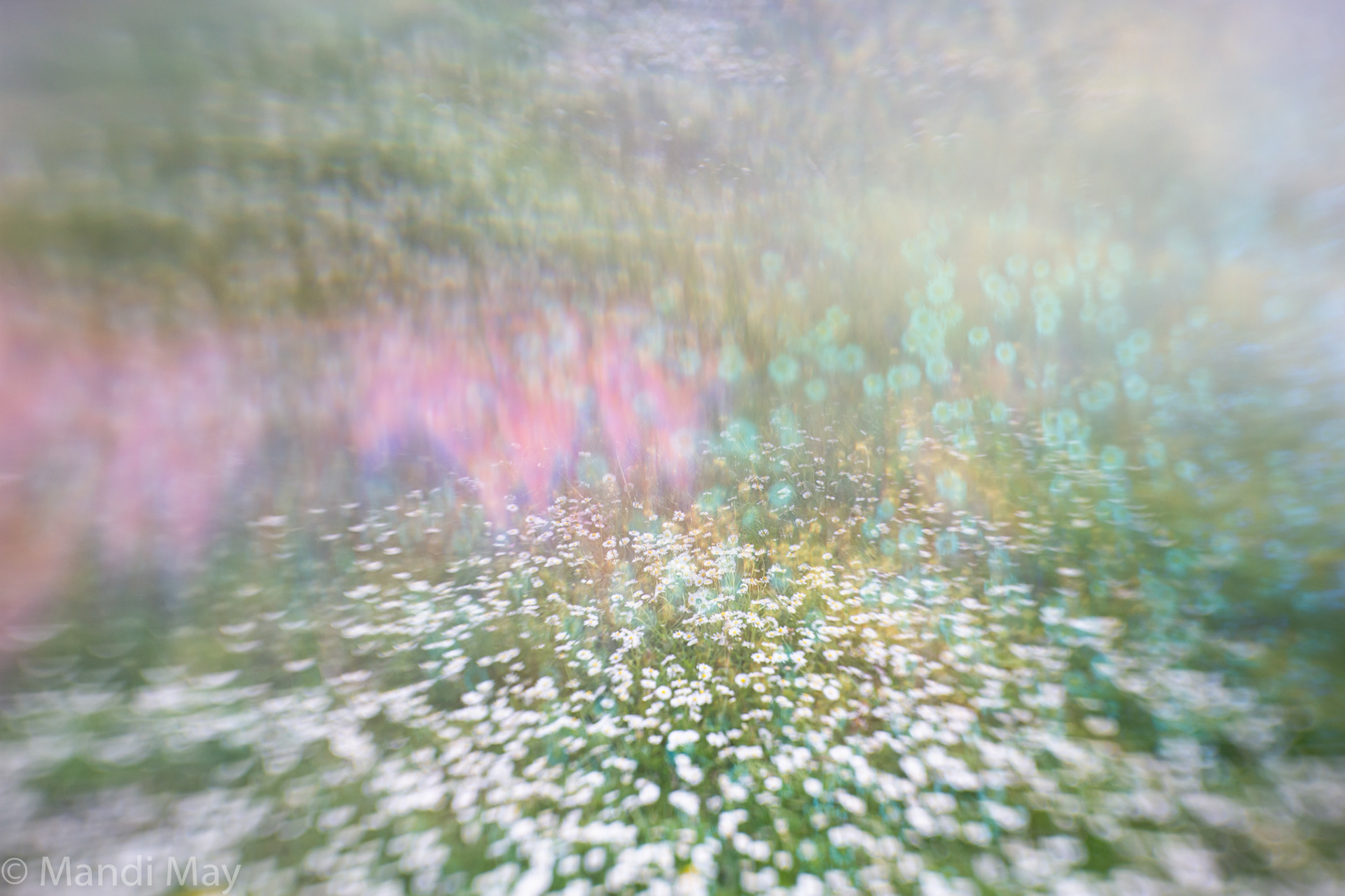 Springtime Melody