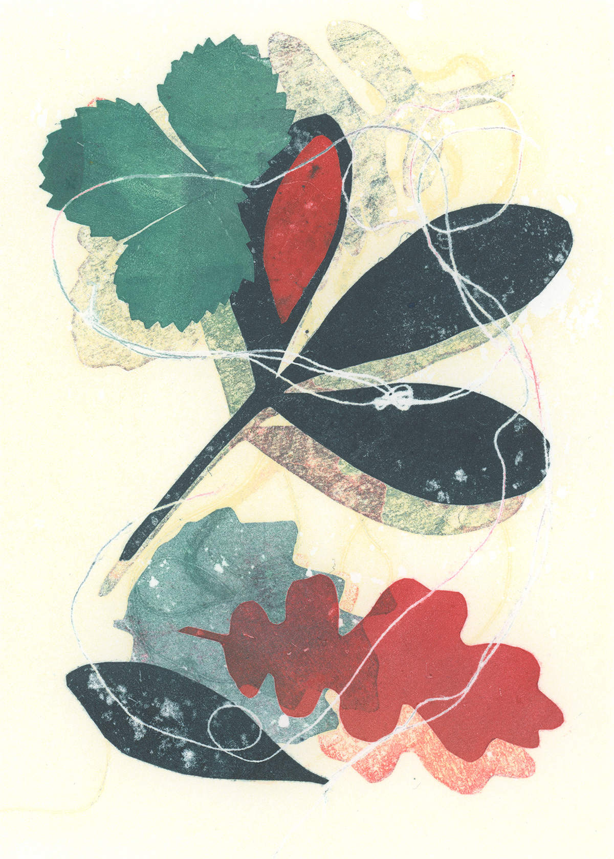Leaf Study 2
