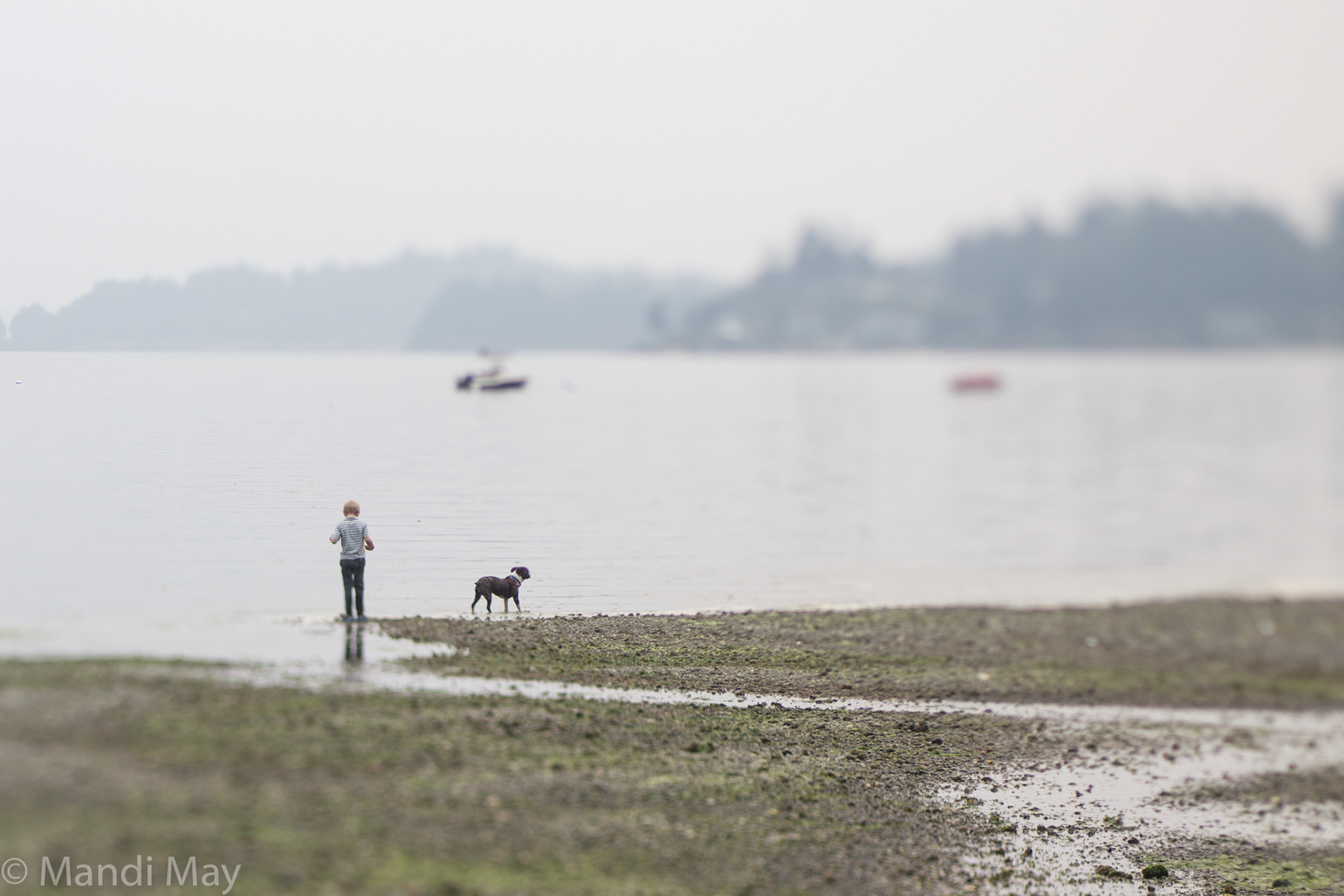 Smoky Skies Over Bainbridge Island