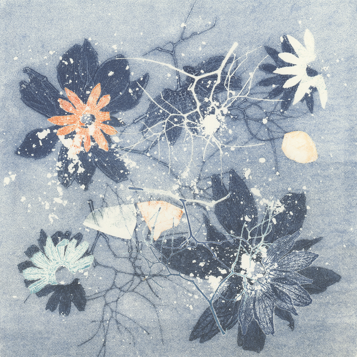 Fragility