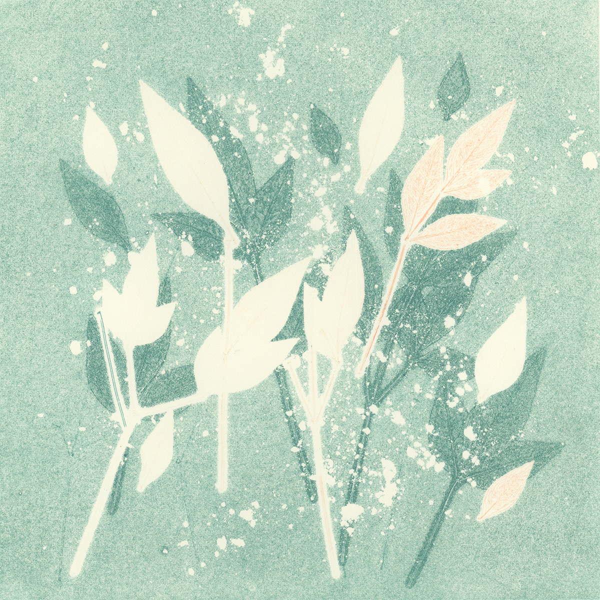 Nandina Leaves 2