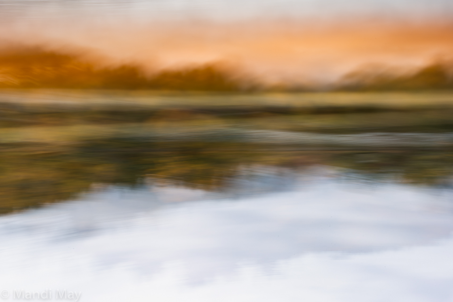Autumn Solitude
