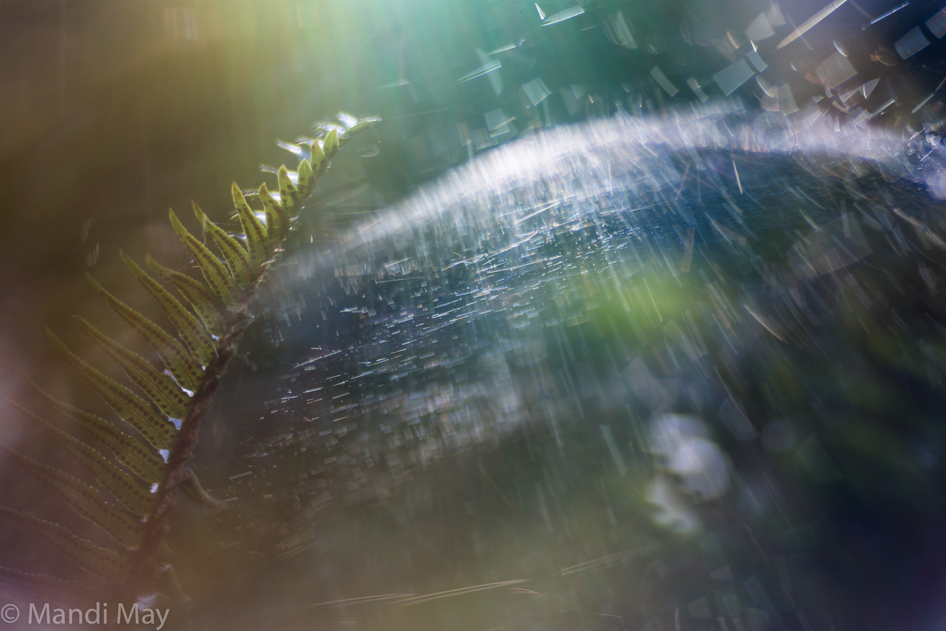 Nature Galactic 2