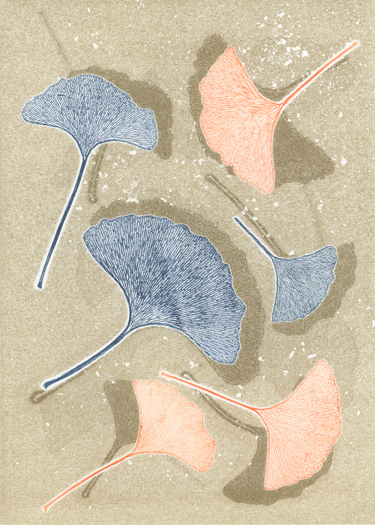 Ginkgo 2