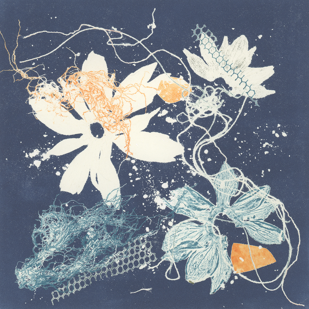 Stardust and Petals
