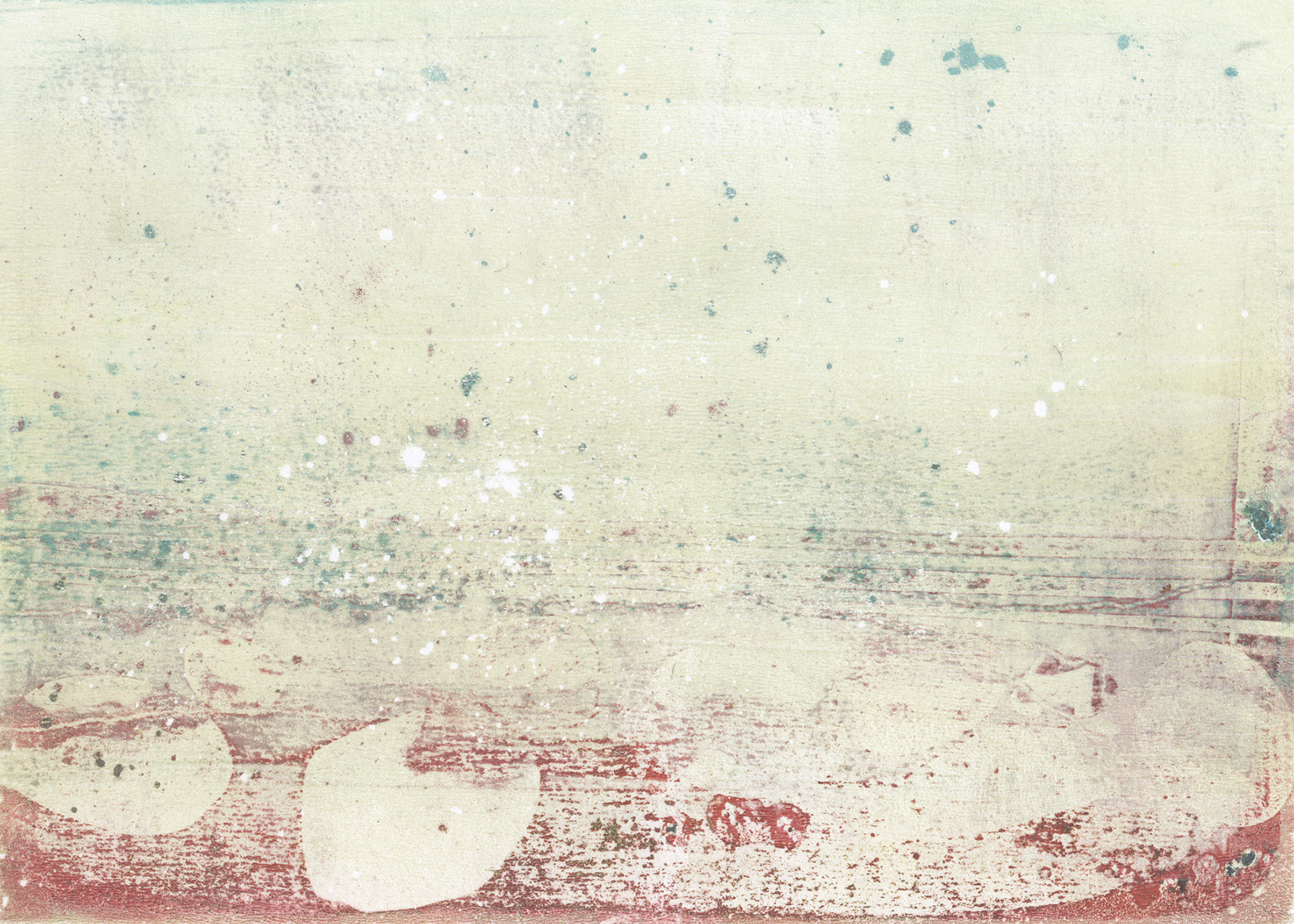 Shells at Low Tide