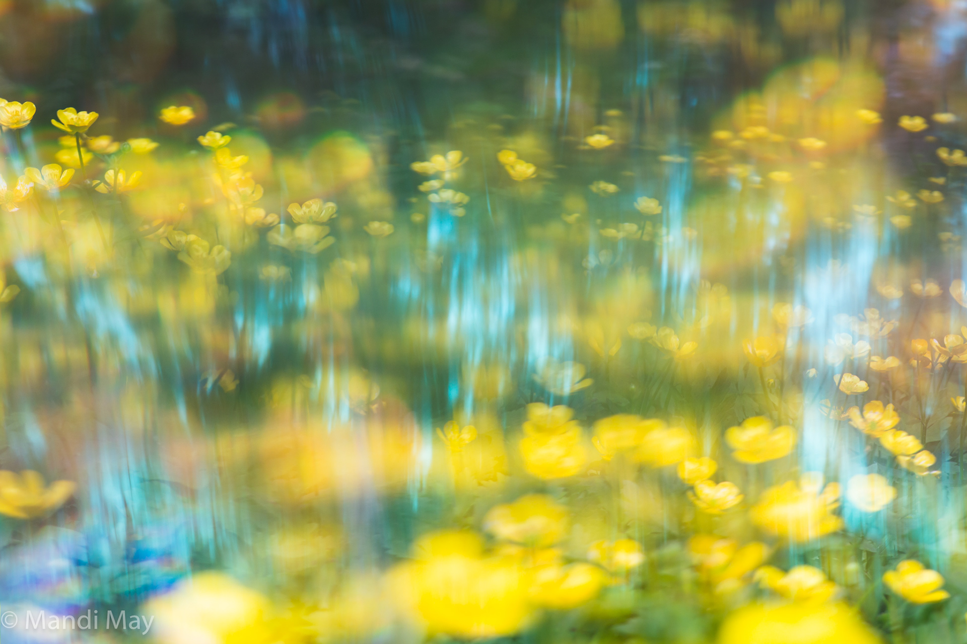 Spring Rhapsody