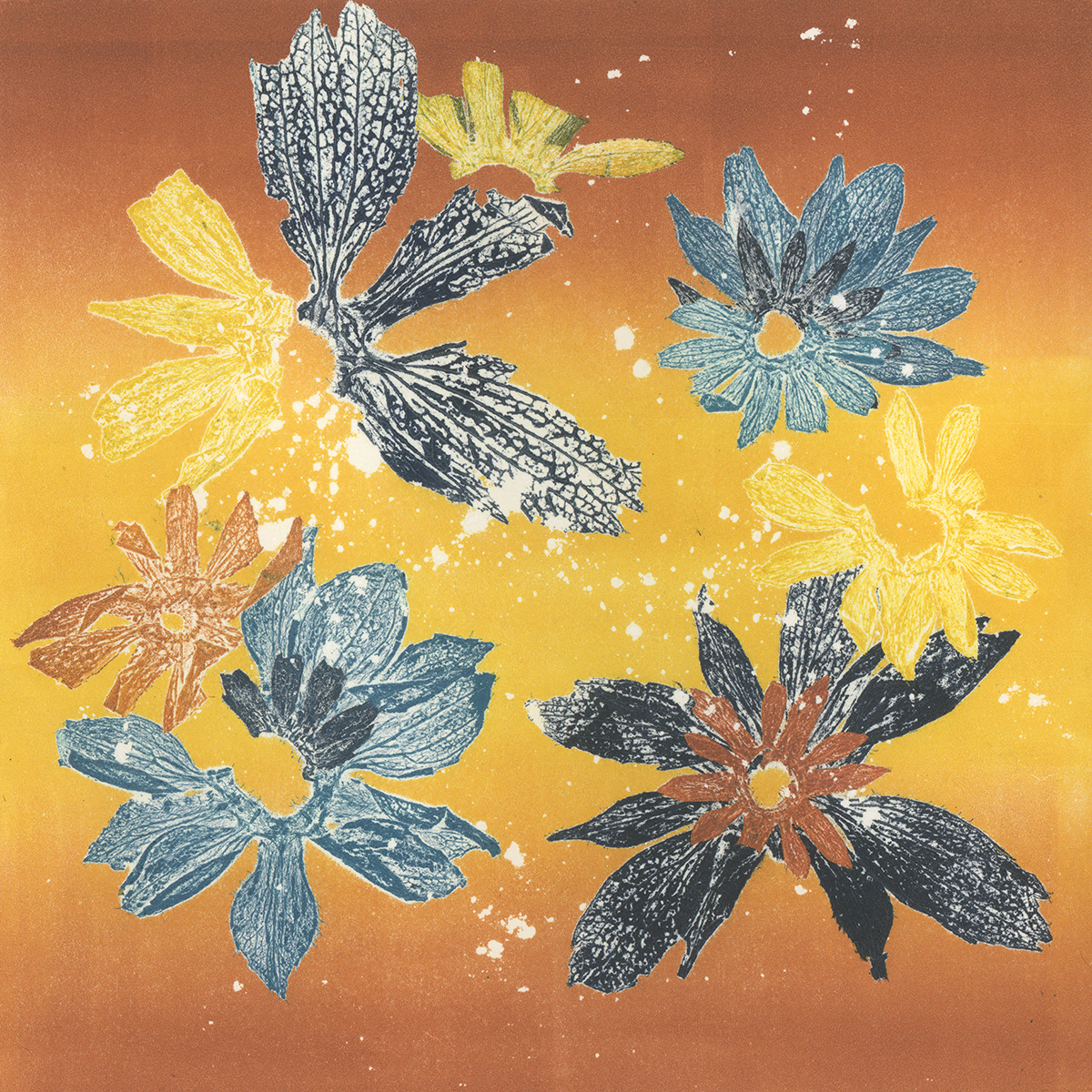 Sunset Petals