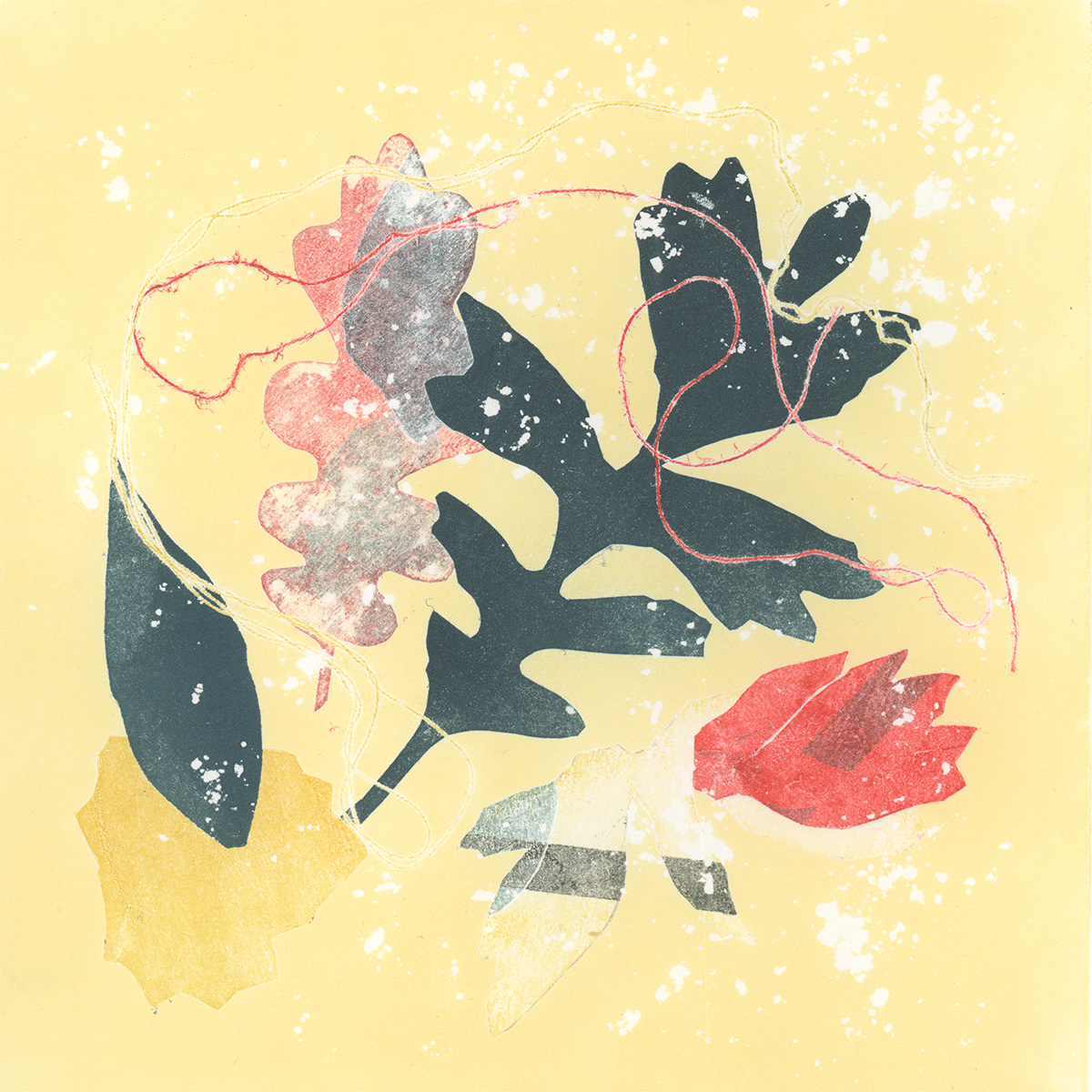 Oak Leaf 1