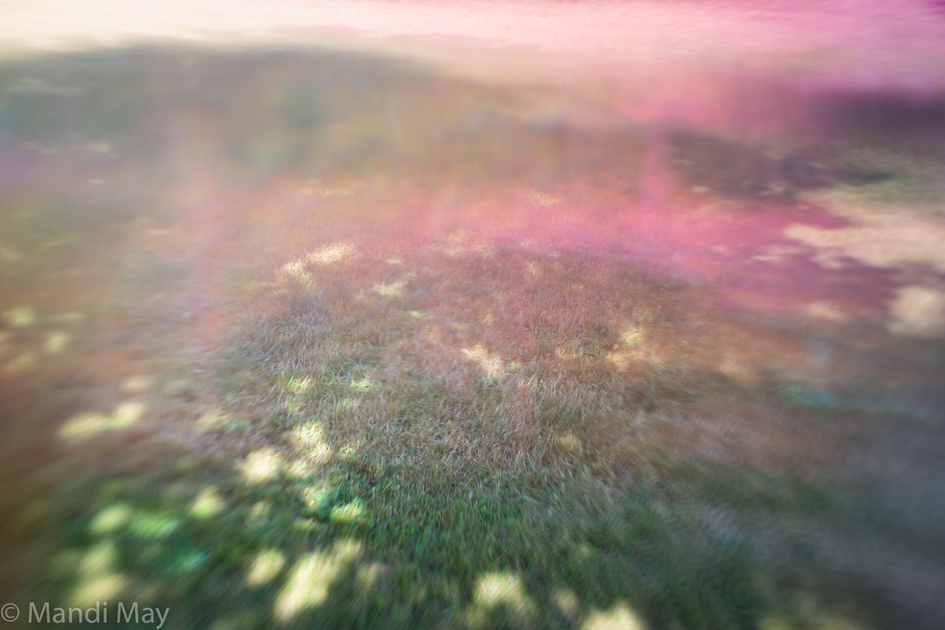 Pink Dream