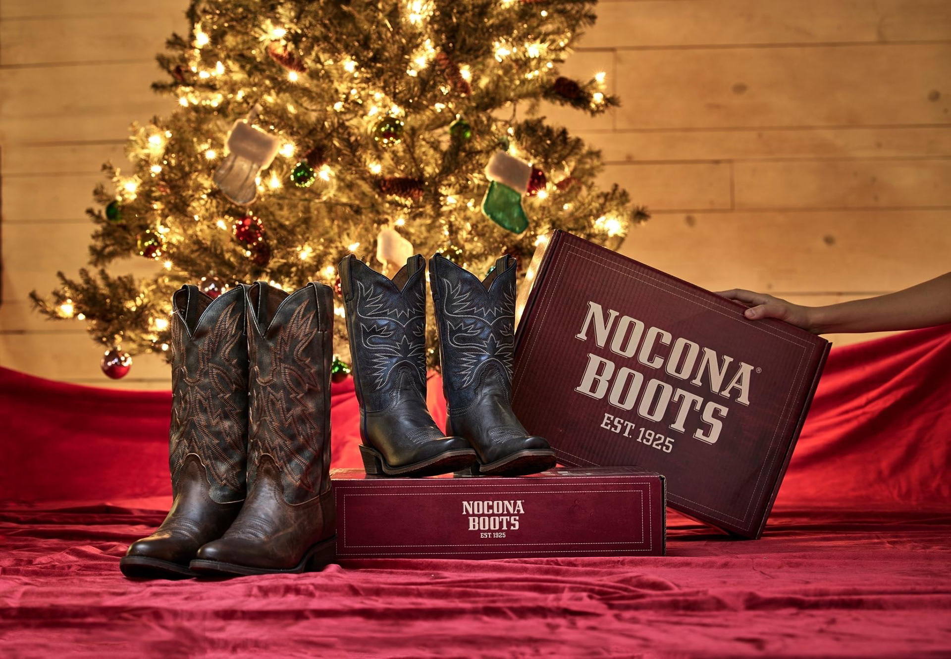 Box Design for Nocona Boots