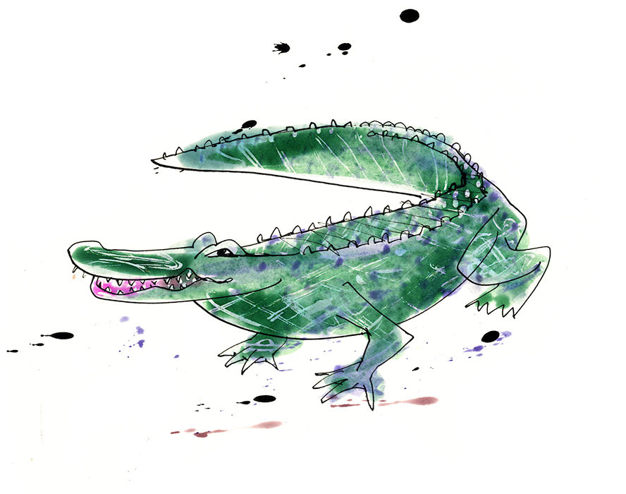 a crocodile