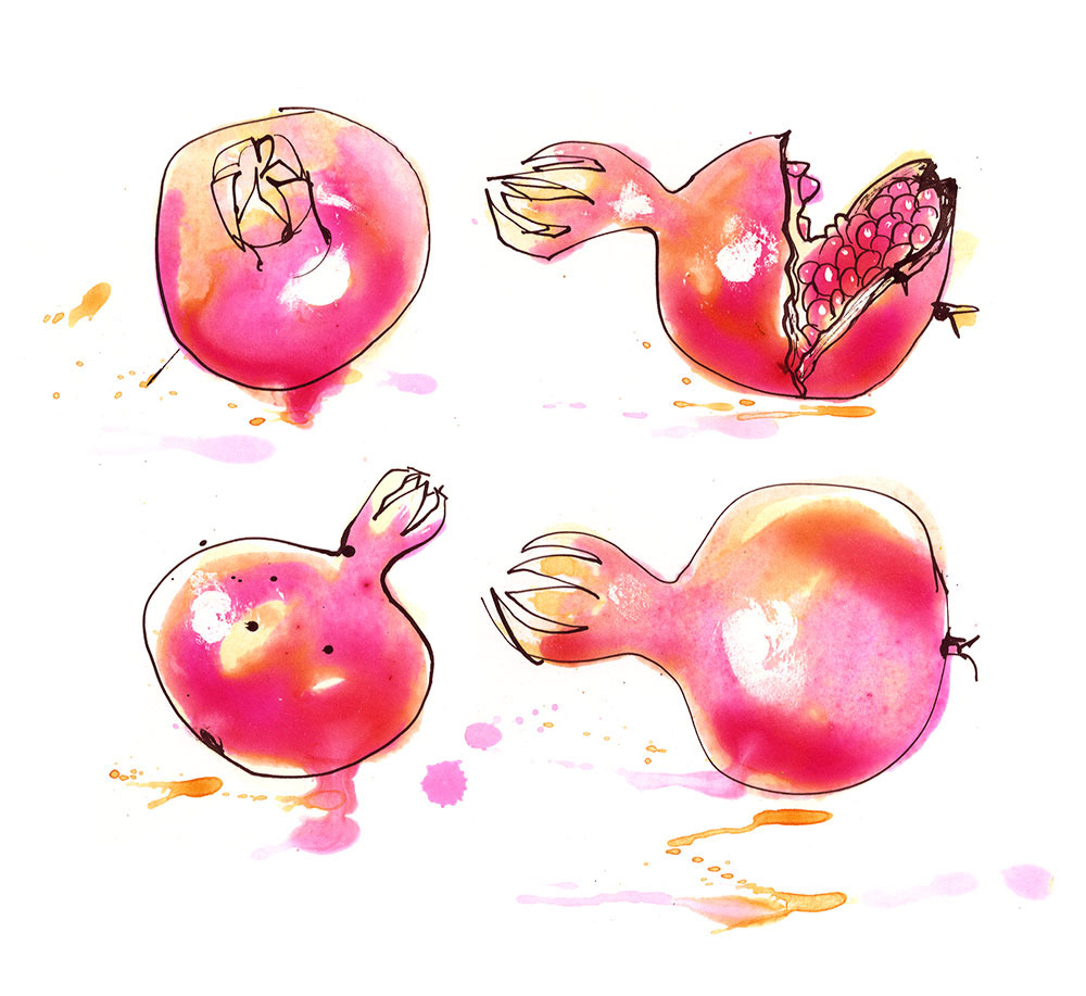 pen and ink illustration of pomegranates from my tree