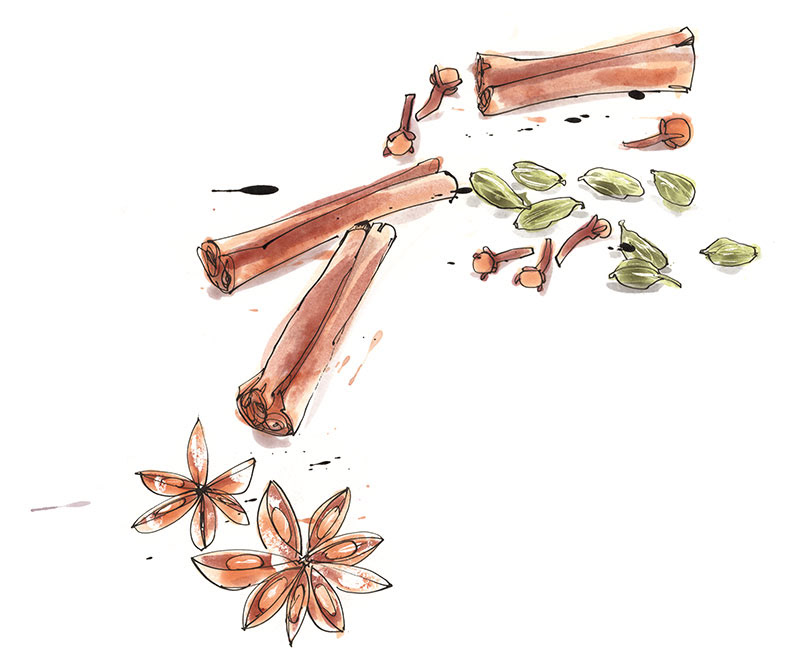 a collection of spices, star anise, cinnamon, cloves and cardamon