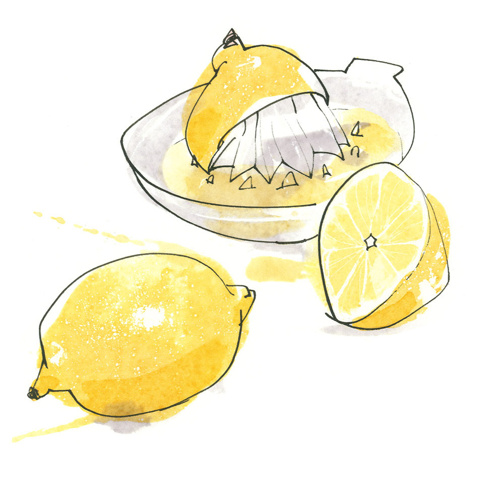illustration of lemons and lemon juice squeezer
