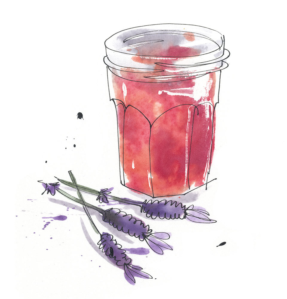 illustration for a raspberry and lavender jelly recipe