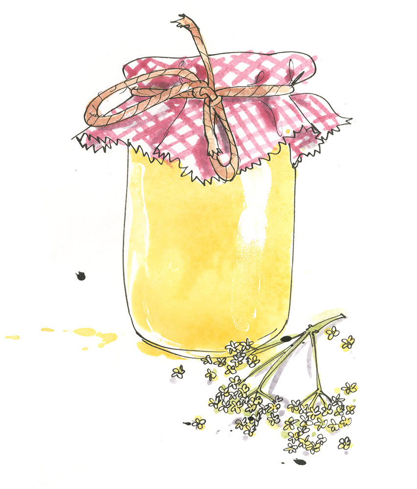 illustration of a traditional cloth topped jar for a lemon and elderflower curd recipe