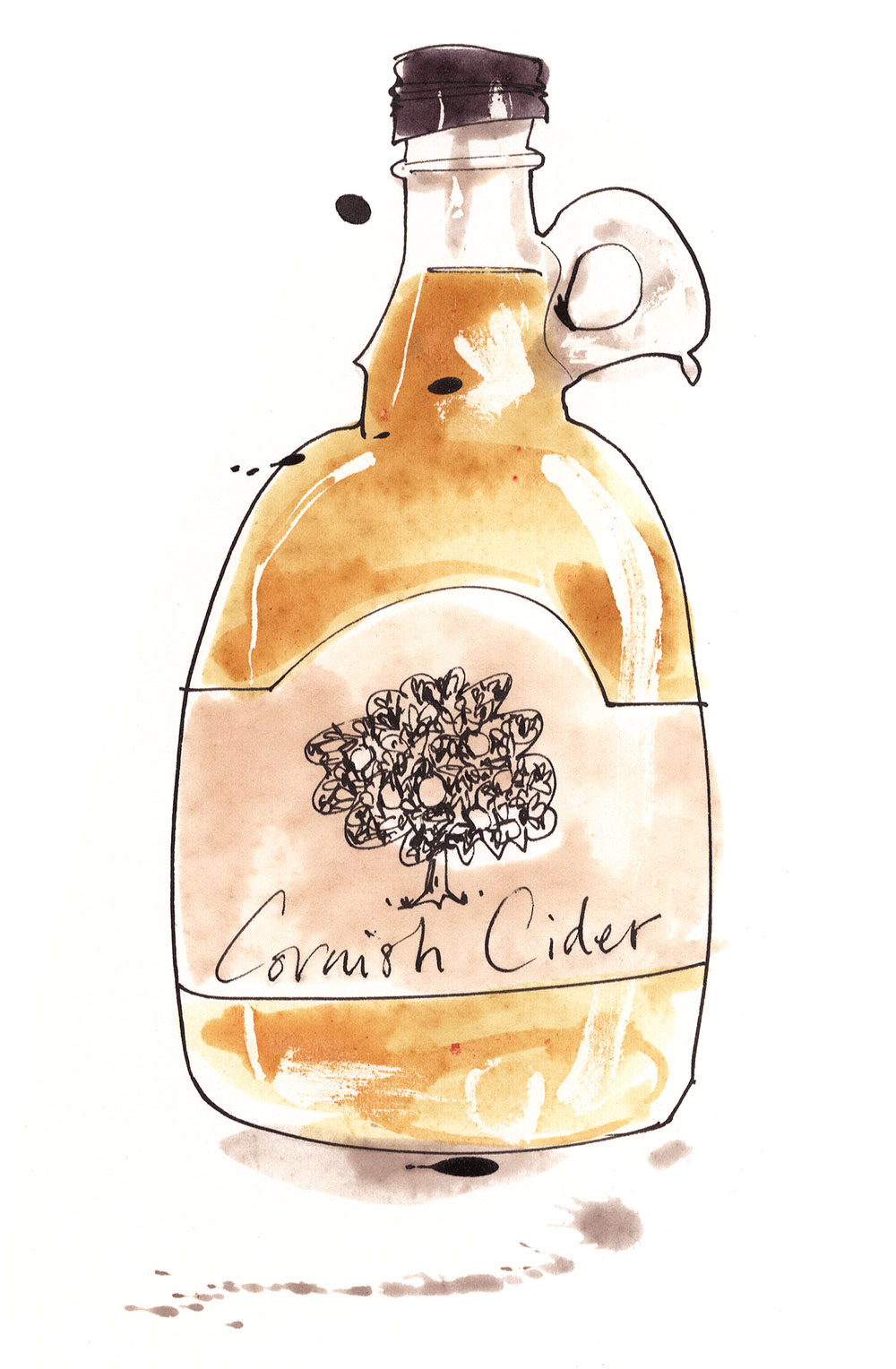 an illustration of a bottle of traditional cornish cider