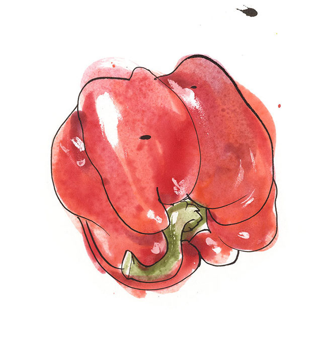 a red pepper illustration