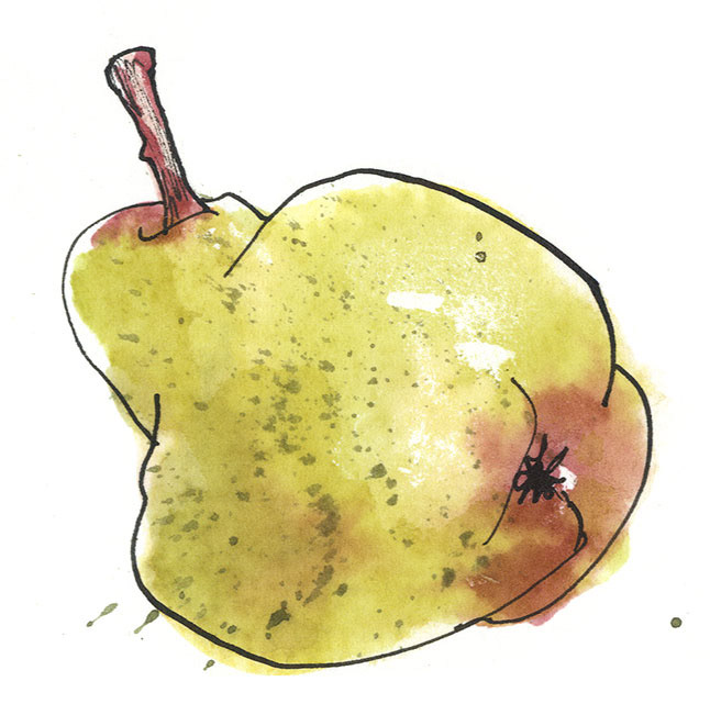 a knobbly pear illustration