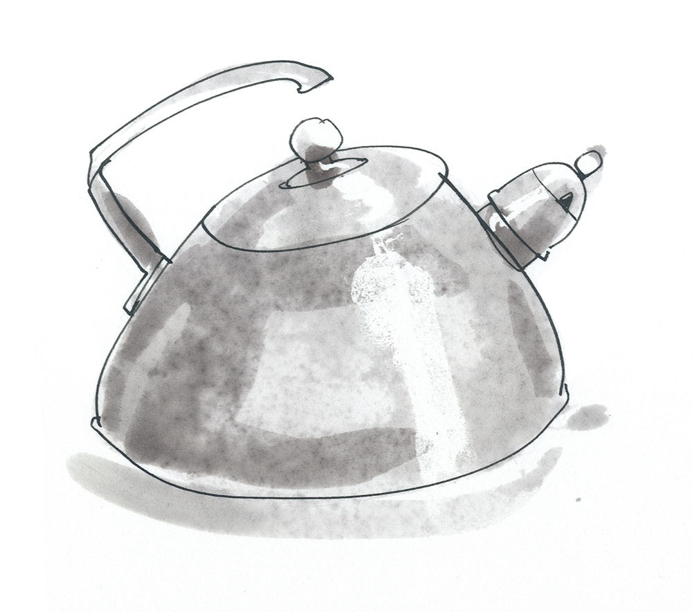 a shiny stainless steel whistling kettle