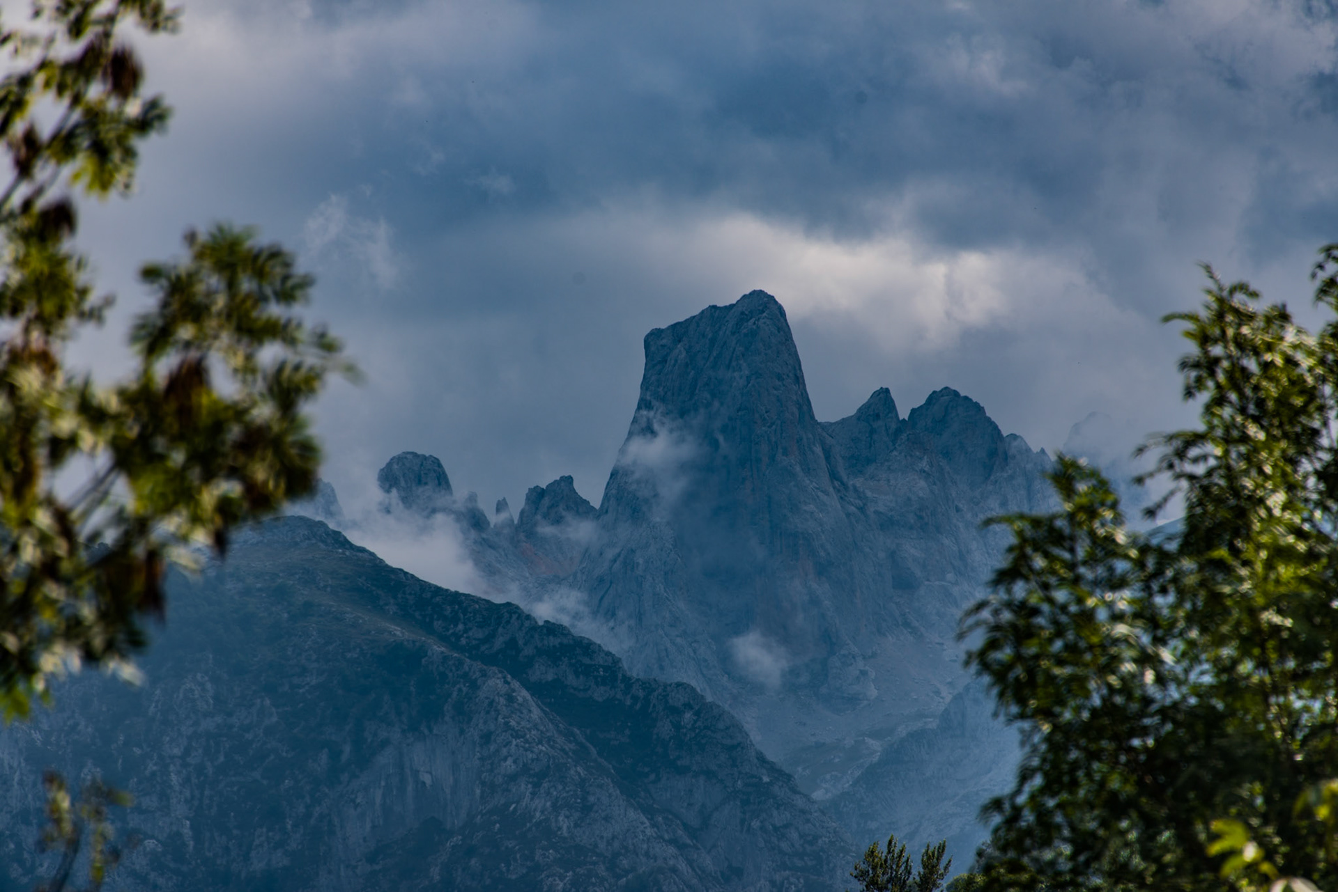 NARANJO DE BULNES