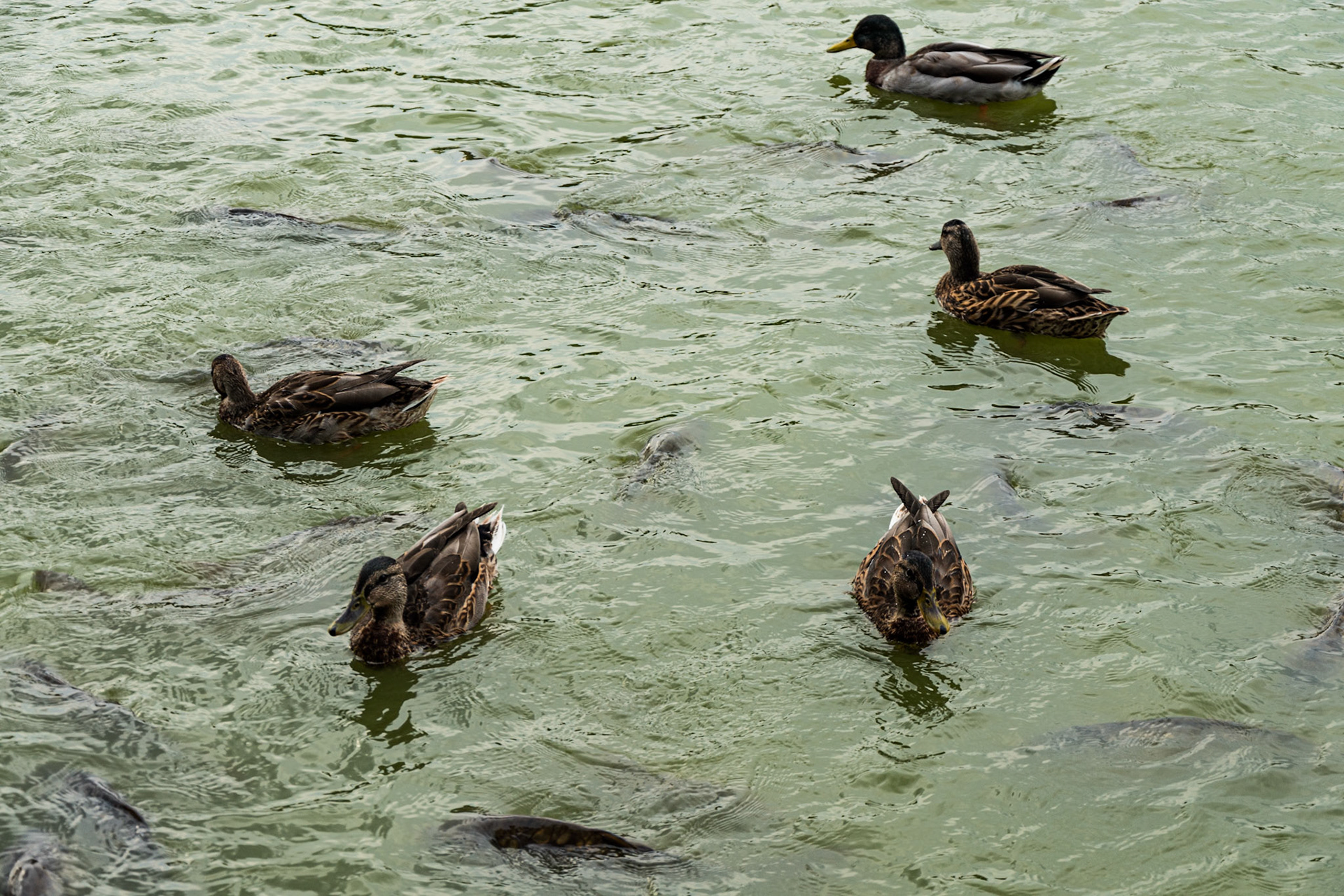 Parque Juan Carlos I