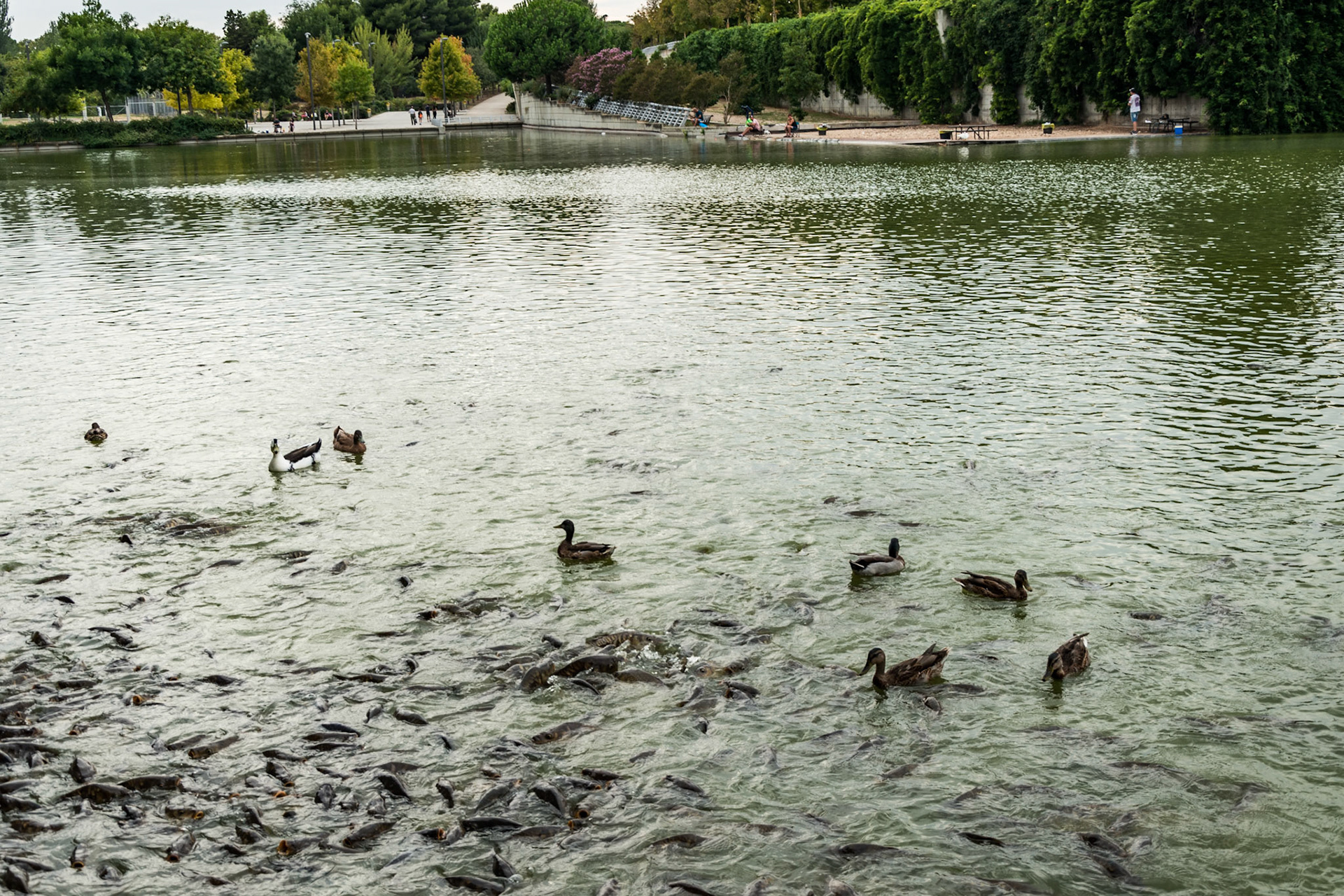 Parque Juan Carlos I