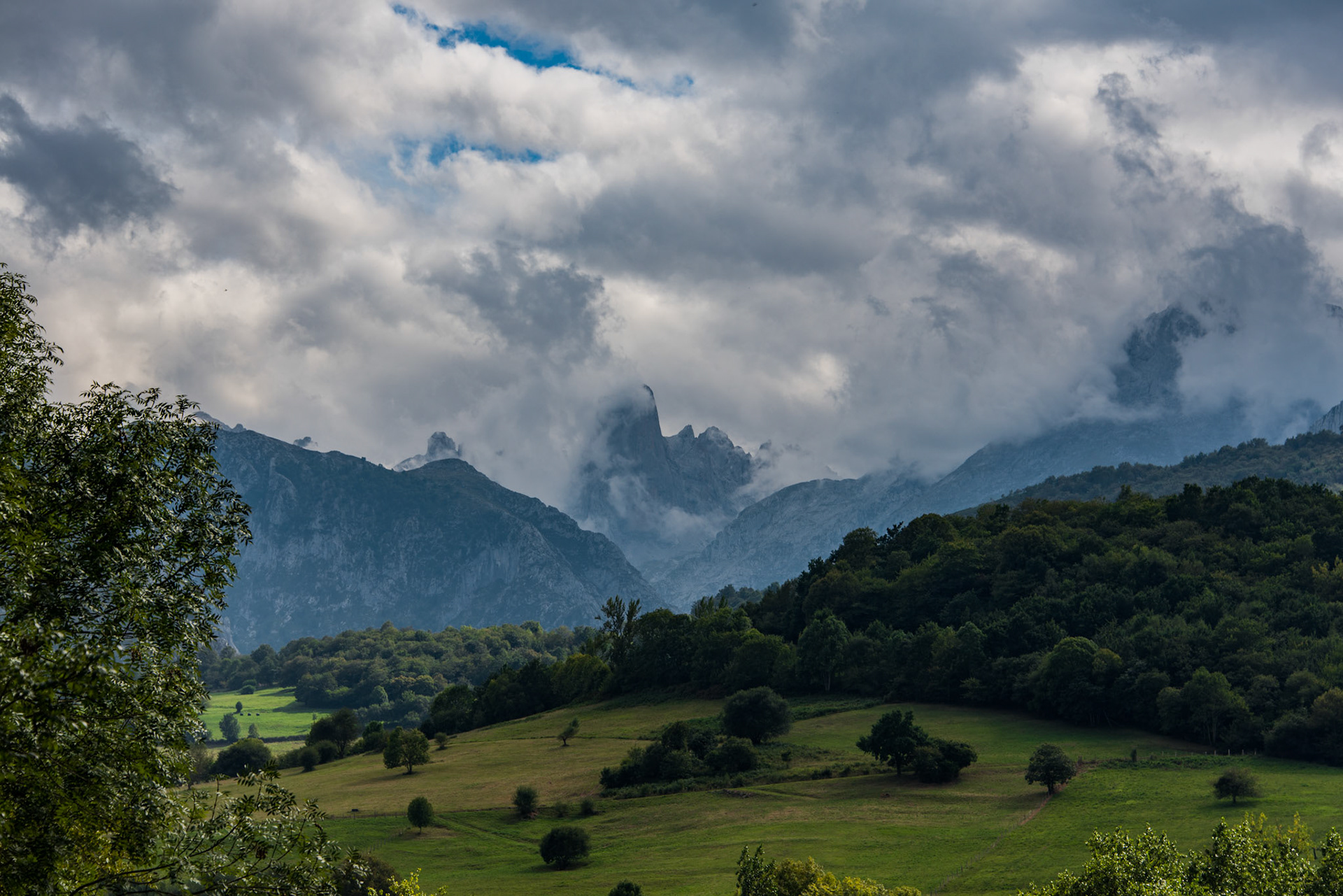 NARANJO DE BULNES