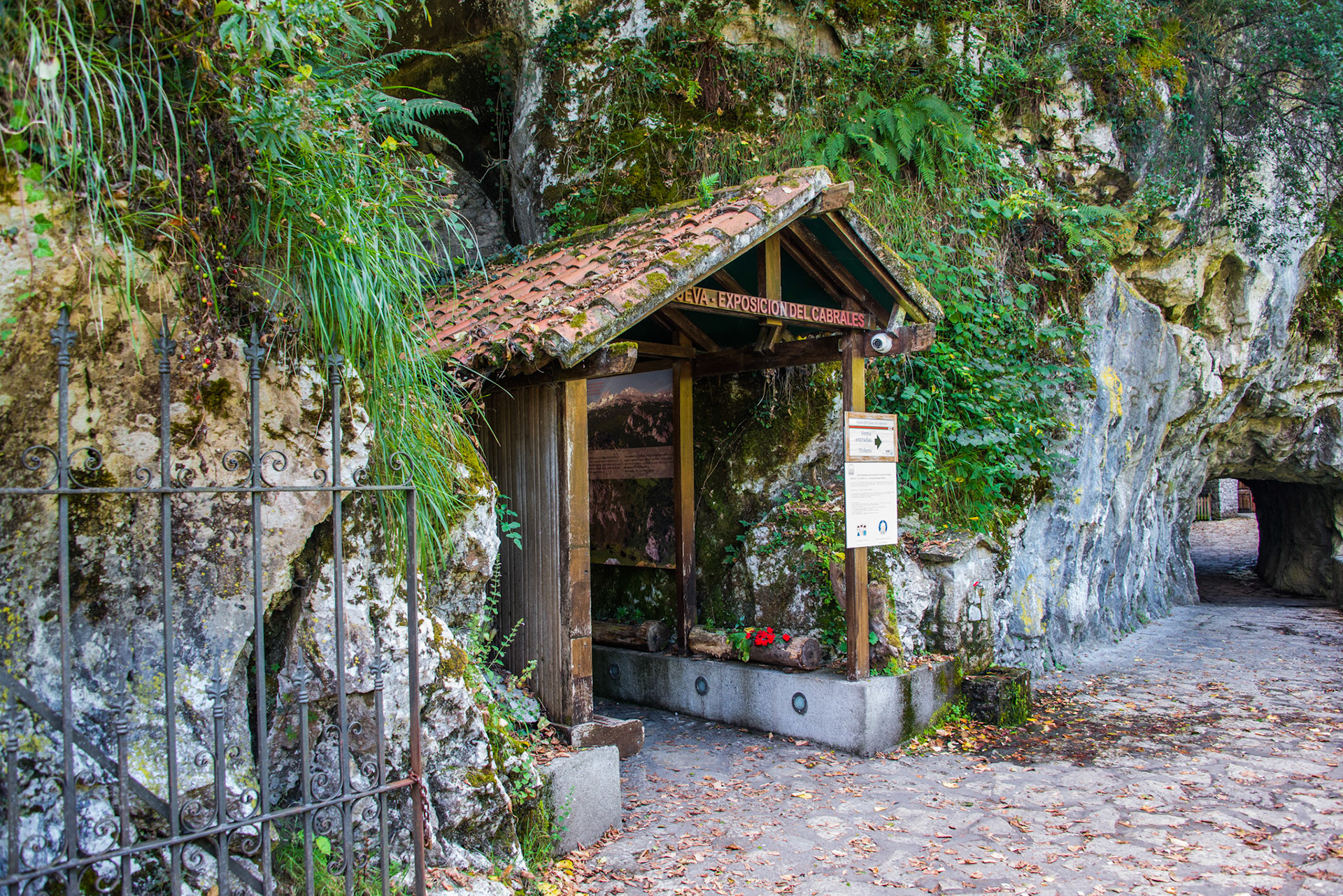 CUEVA DEL CABRALES