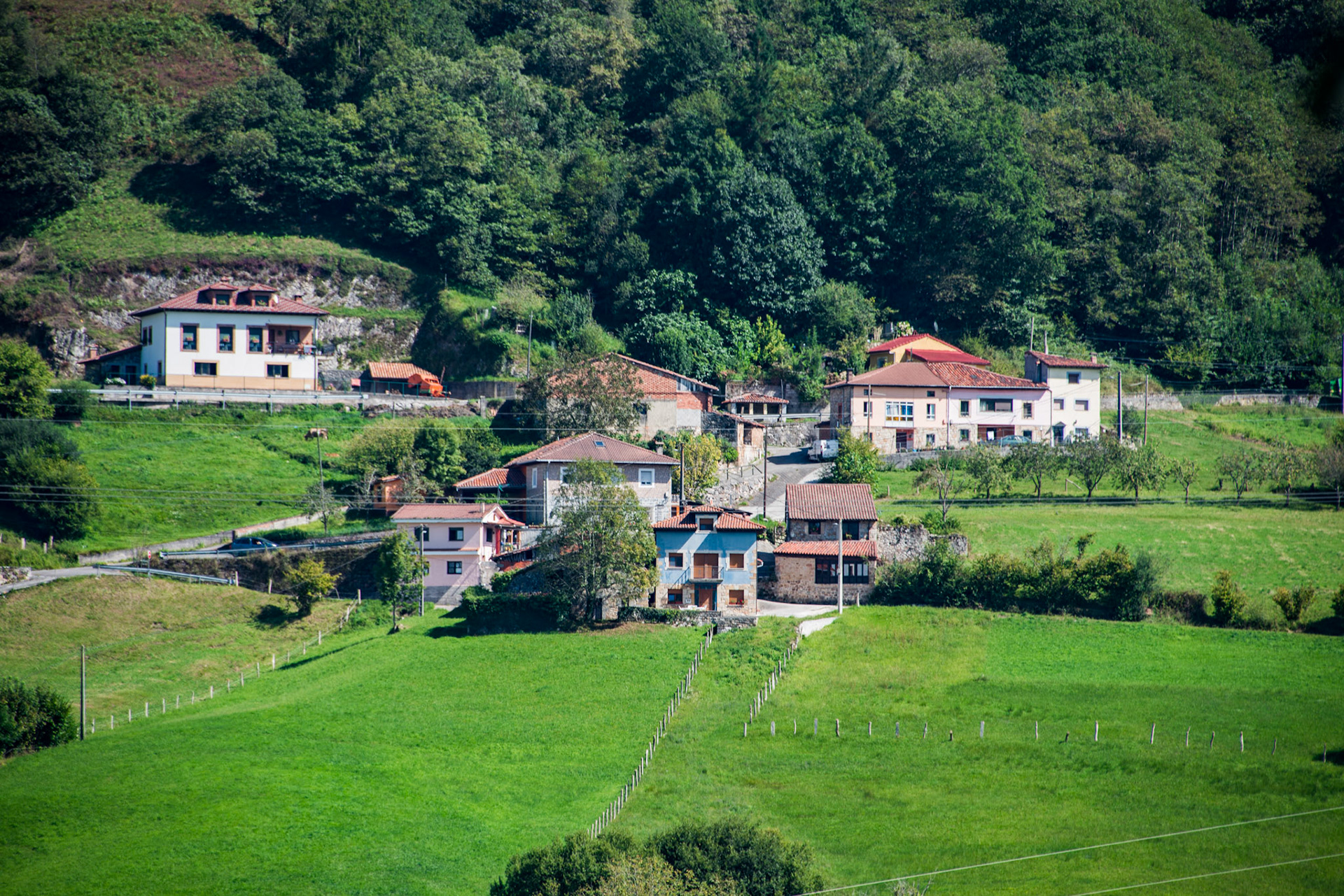 PEDANIA EN CARREÑA