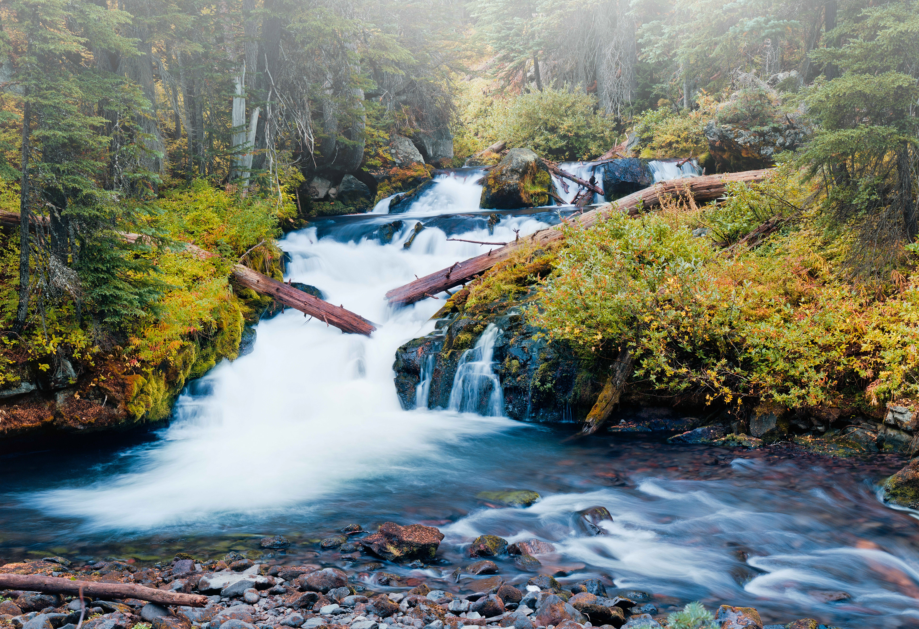 "Fall-n-Falls" | Deschutes National Forest