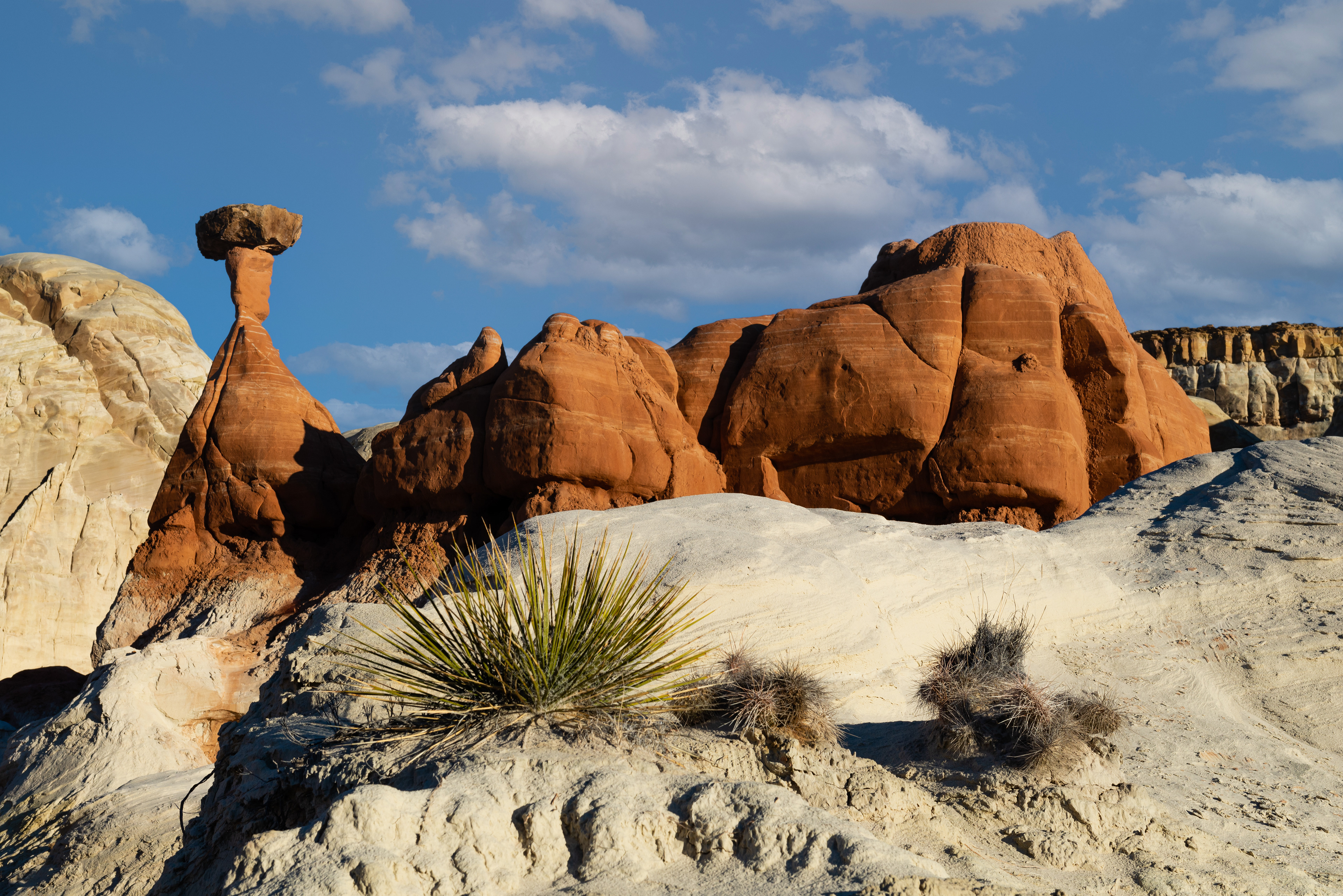 "Desolate Fortress" | Grand Staircase-Escalante National Monument