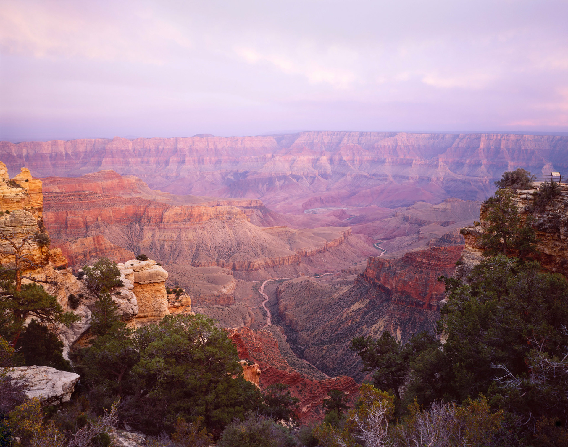 "Purple Haze" | Grand Canyon National Park, North Rim