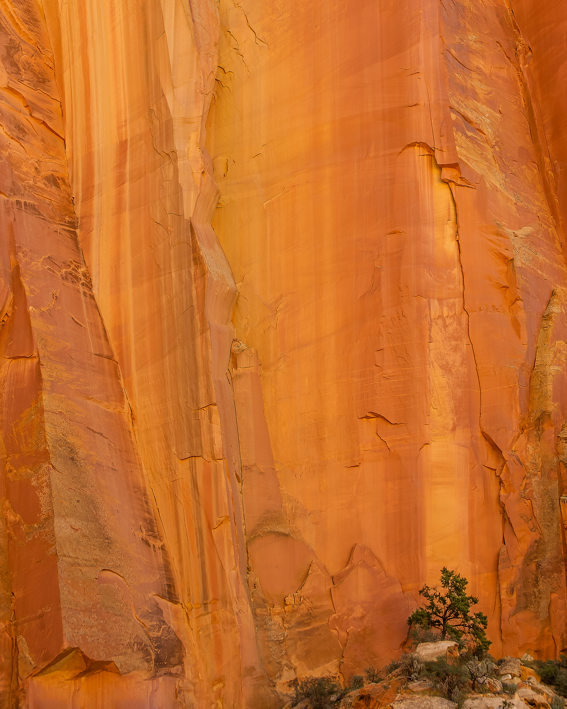 "Vertical" | Capitol Reef National Park