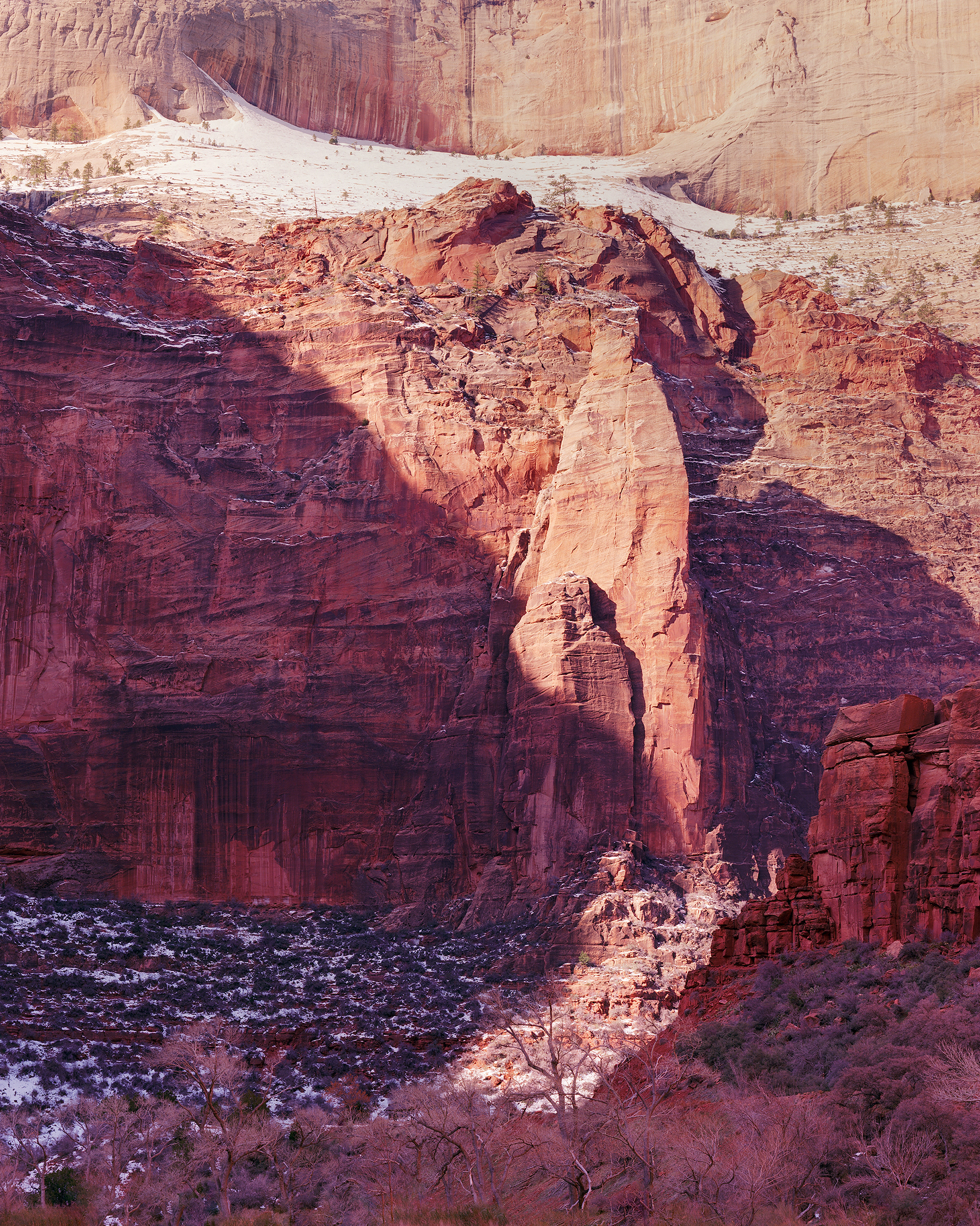 "Shadows" | Zion National Park