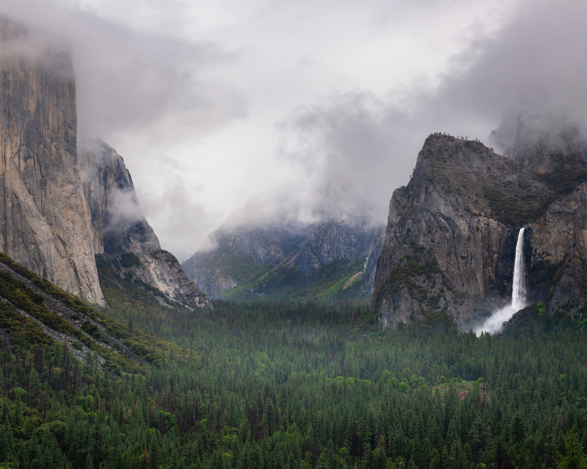 "Valley of Wonder" | Yosemite National Park