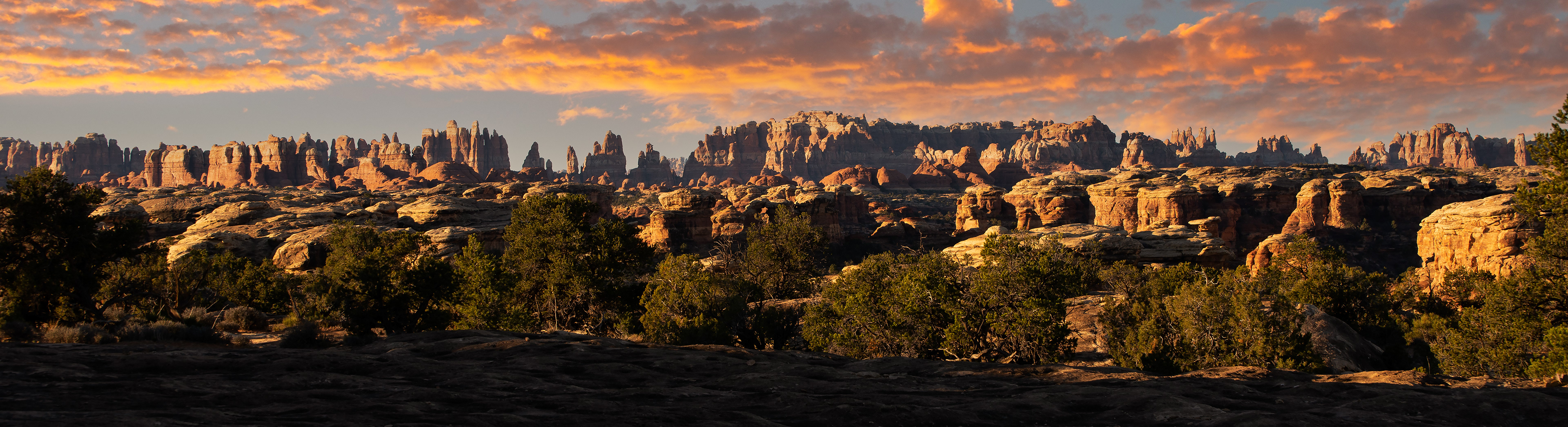 "Needles" | Canyonlands National Park