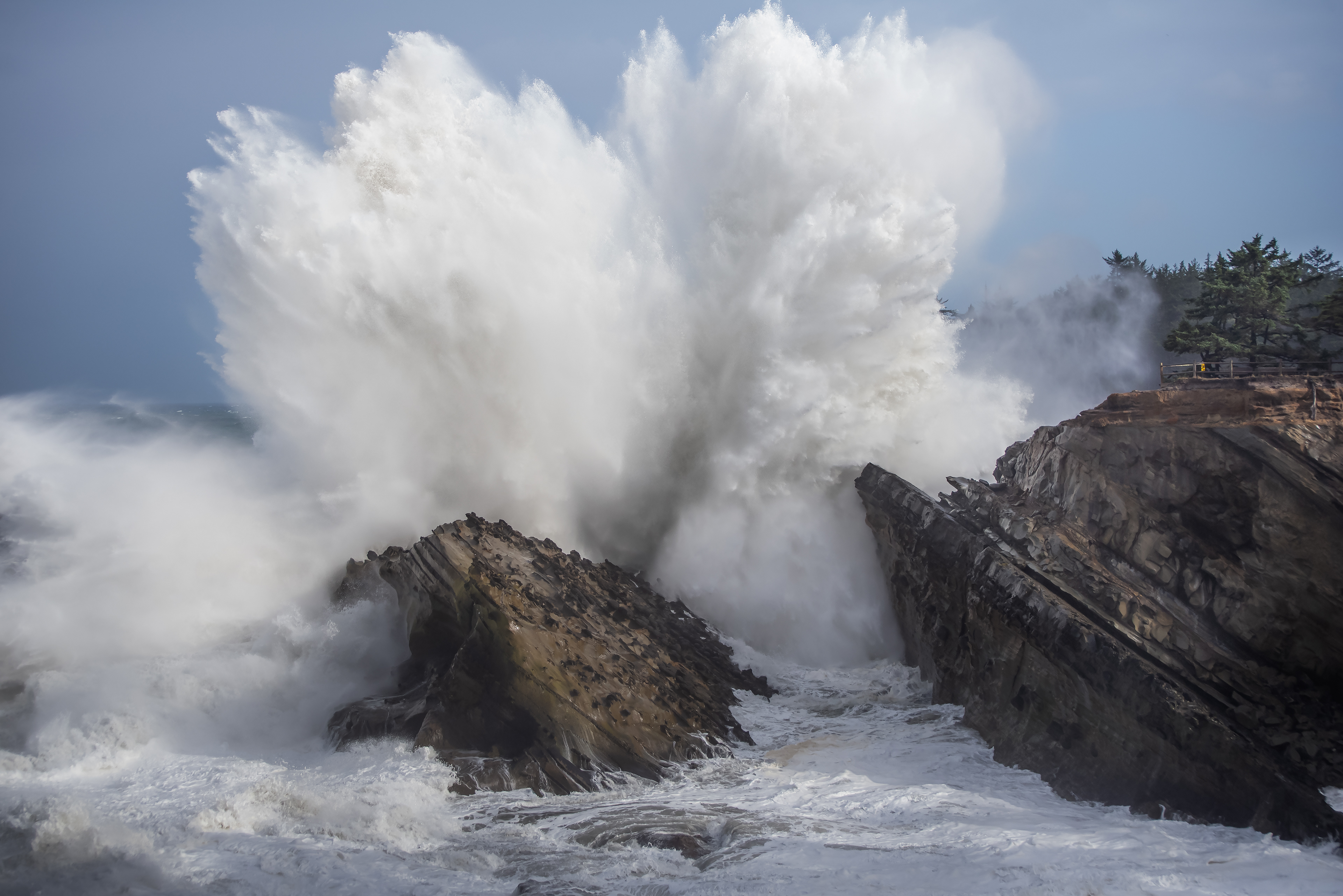 "Crash" | Shore Acres State Park